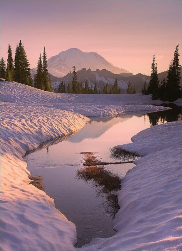 mt. rainier,  washington st. upper tipsoo lake Two Moods of  One Sceneryphoto preview