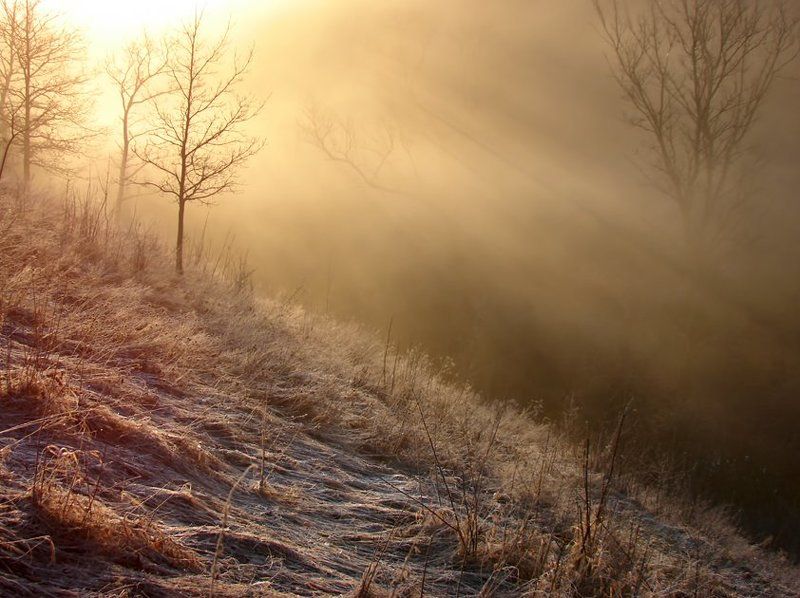 утроphoto preview