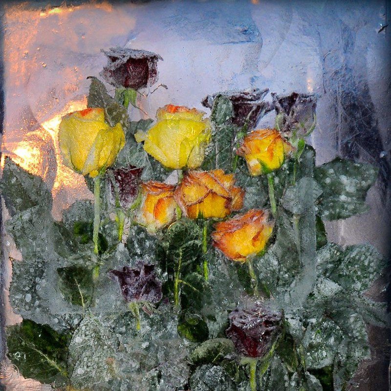 ледянные, букеты. photo preview