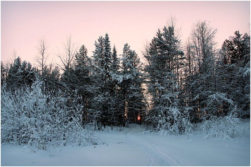 Морозная нежностьphoto preview