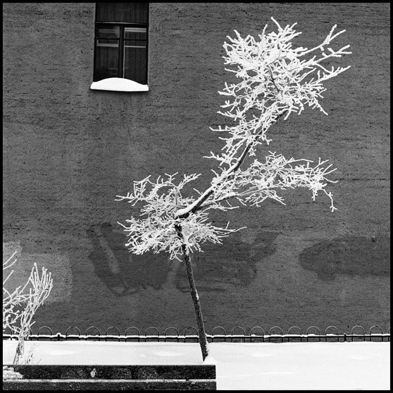 фотограф на свадьбу, свадебная фотография, алексей силаев, silaev ***photo preview