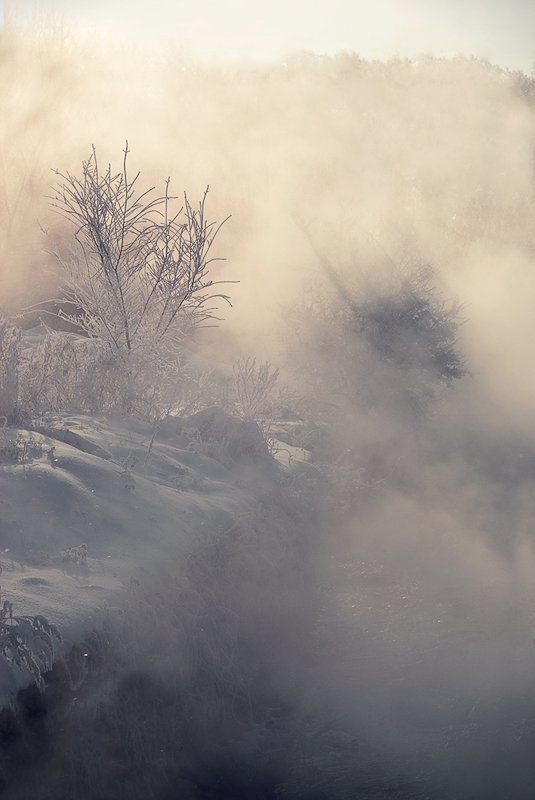 воронеж, пригород, природа, мороз, утро, туман, солнце sunshinephoto preview