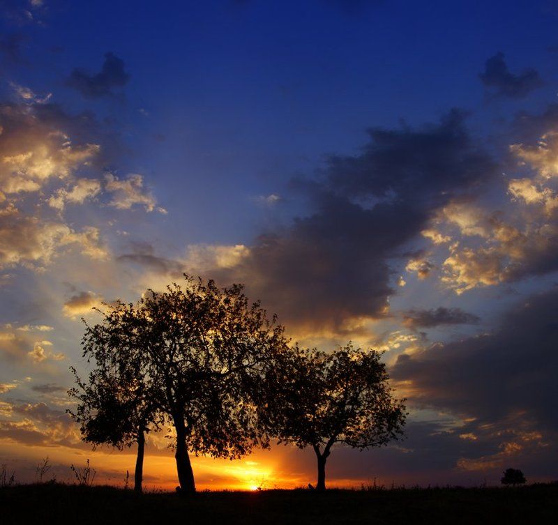 закатнаяphoto preview