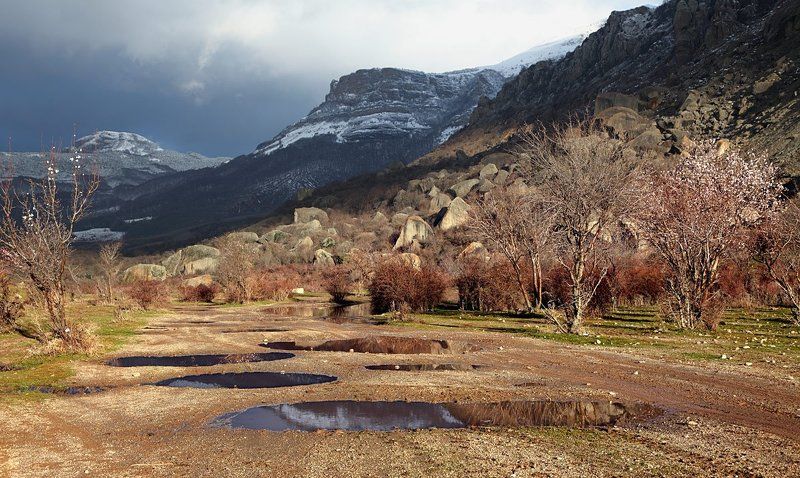 январь, крым, горы, миндаль цветёт Крымский новый годphoto preview