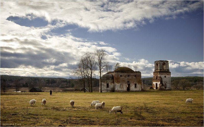 Пасторальphoto preview