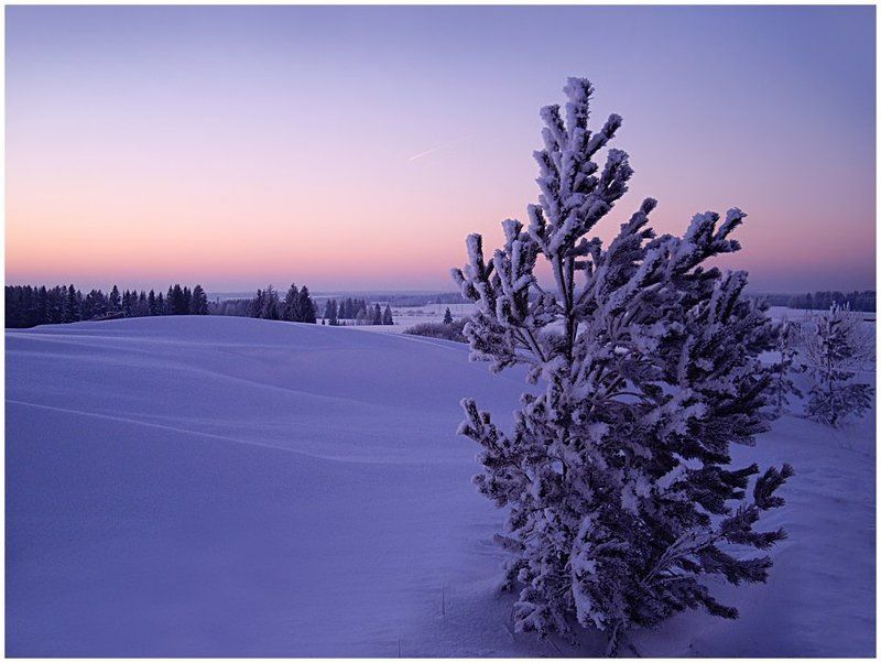 зима,мороз,вечер,январь,удмуртия Провожая день...photo preview