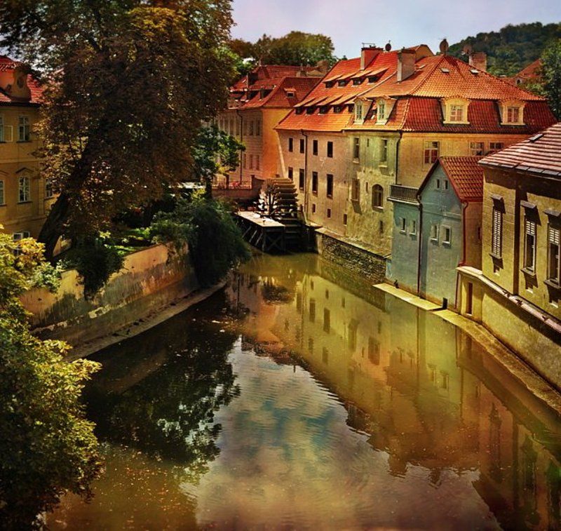 * фото превью