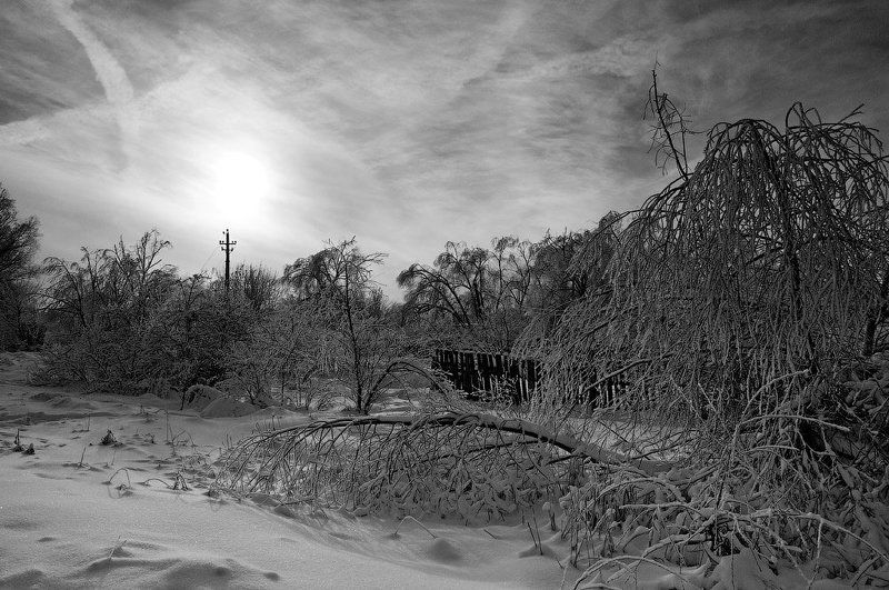 Зима в черно-белой тональности...photo preview