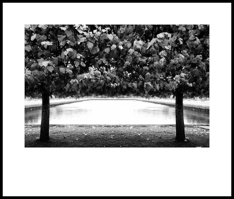 itkin, boris Сквозь деревьяphoto preview