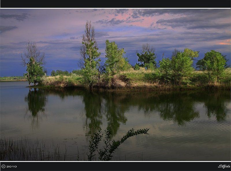 озеро, лето, рыбалка Карасиный рай.photo preview
