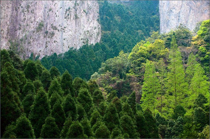 китай,лесной марш,янданшань Лесной маршphoto preview