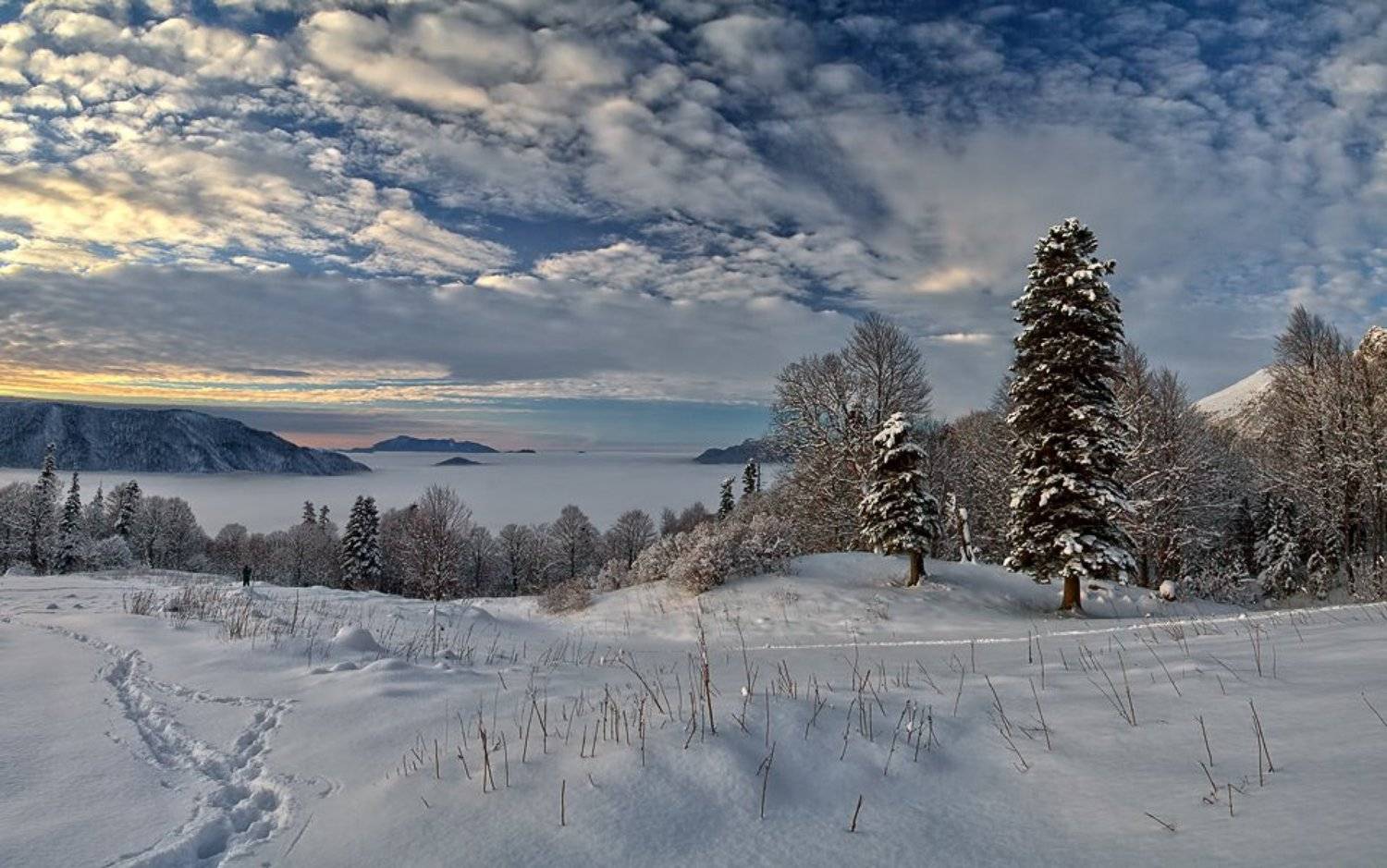 , Синицкий Виталий