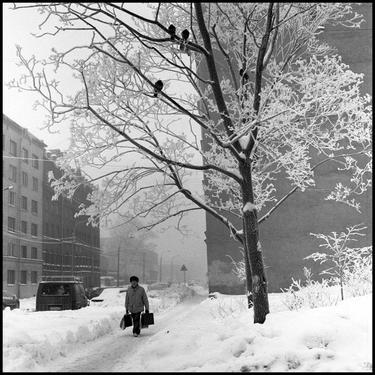 ***. Автор: Алексей Силаев фотограф на свадьбу, свадебная фотография, алексей силаев, silaev, петербург,rolleiflex, gx, Алексей Силаев