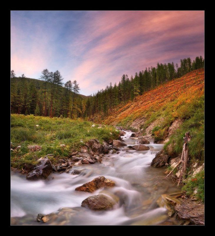 алтай, утро, рассвет, река, лес, небо, золотая осень Шабагаphoto preview