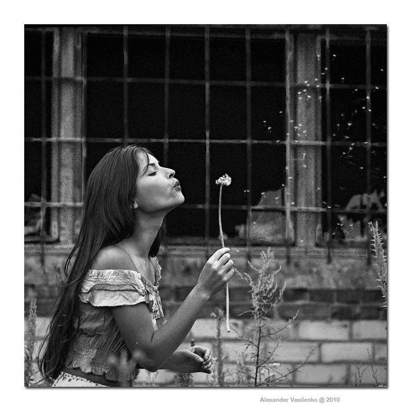 Wind of changes...photo preview