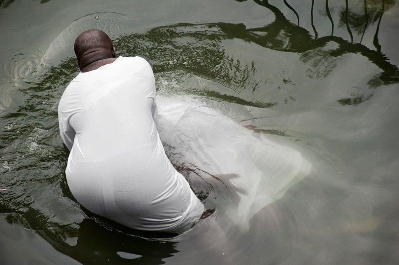 israel, iardenit, nigerian, 2010 Vita Novaphoto preview