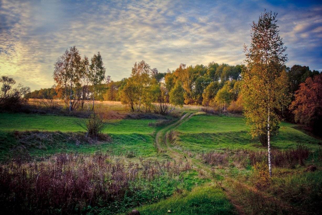 Автор: Сергей Зимин , Сергей Зимин