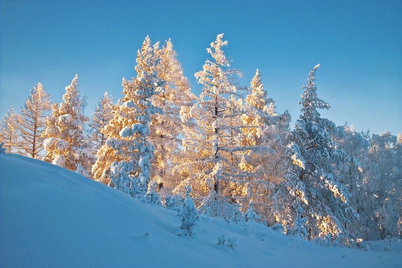 *** фото превью