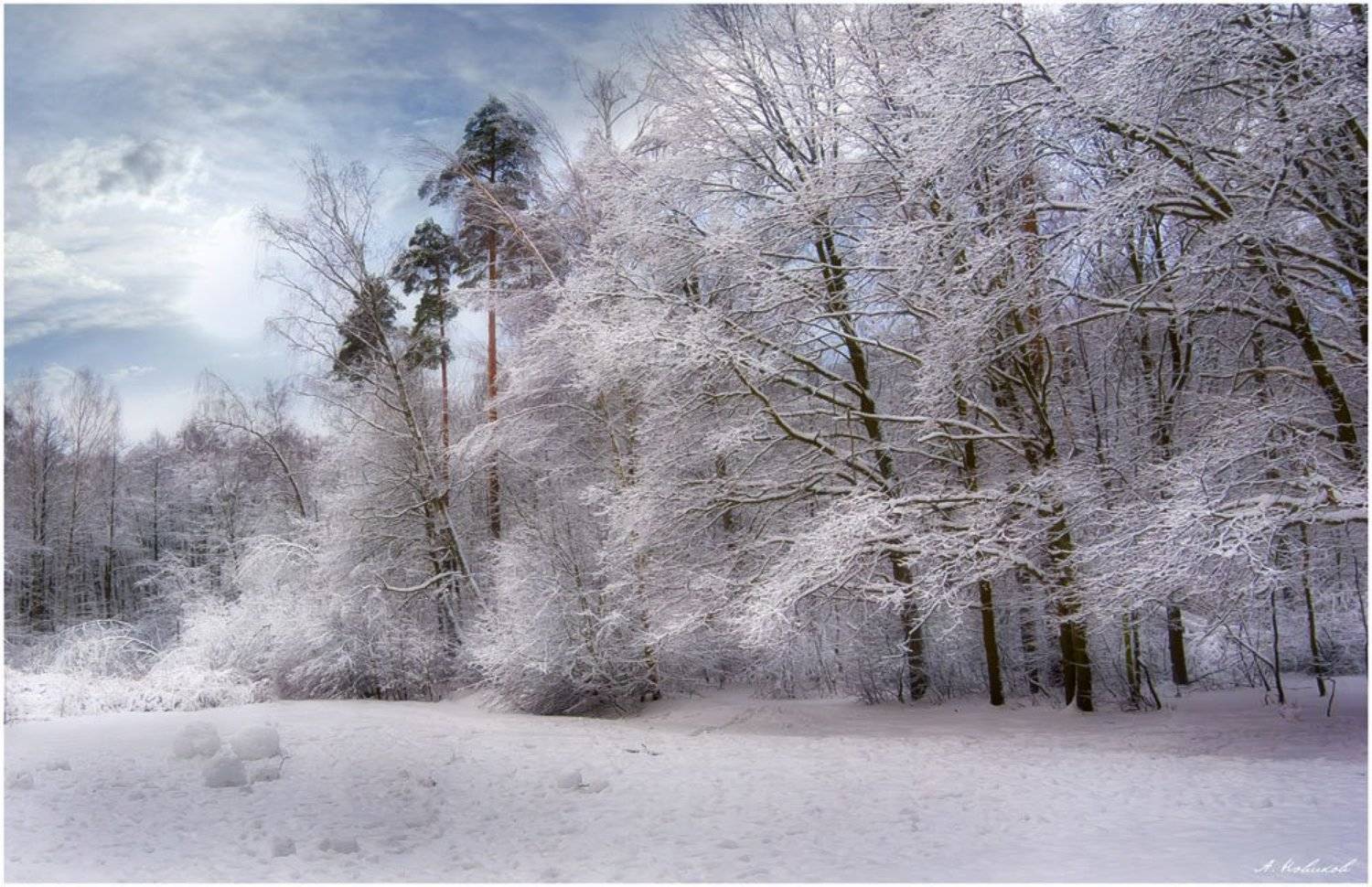 , Алексей Новиков