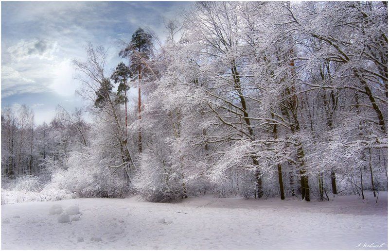 Зимний пейзажphoto preview