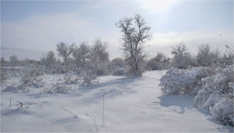 природа Вдали от суеты...photo preview