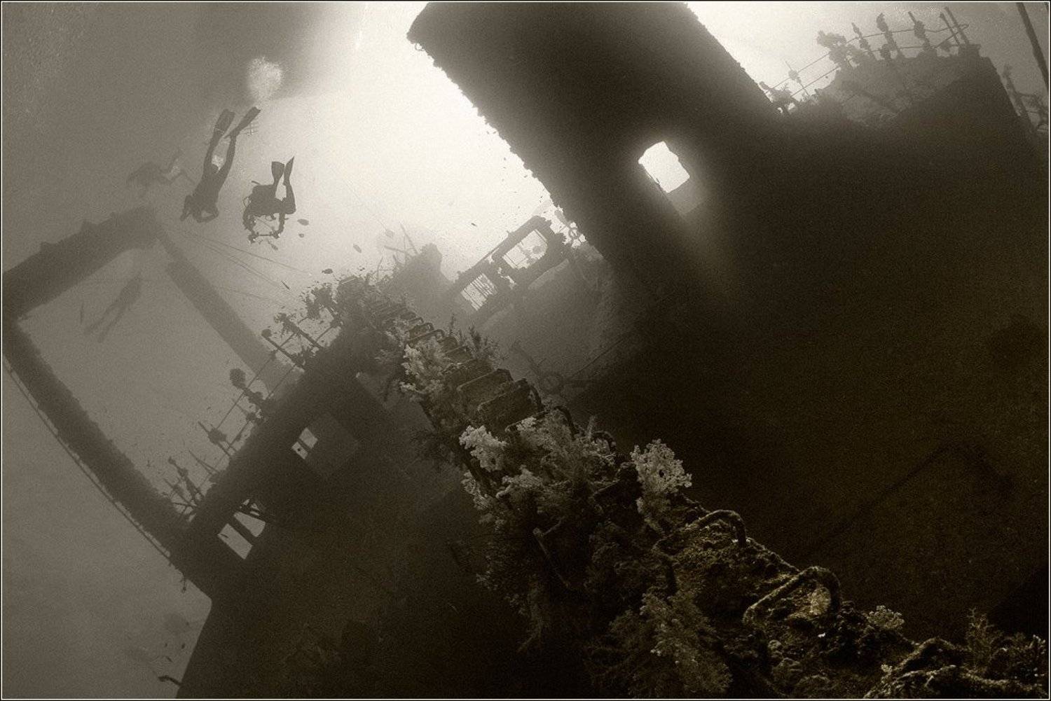 , Игорь Гущин