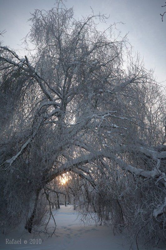 Солнце не за горамиphoto preview