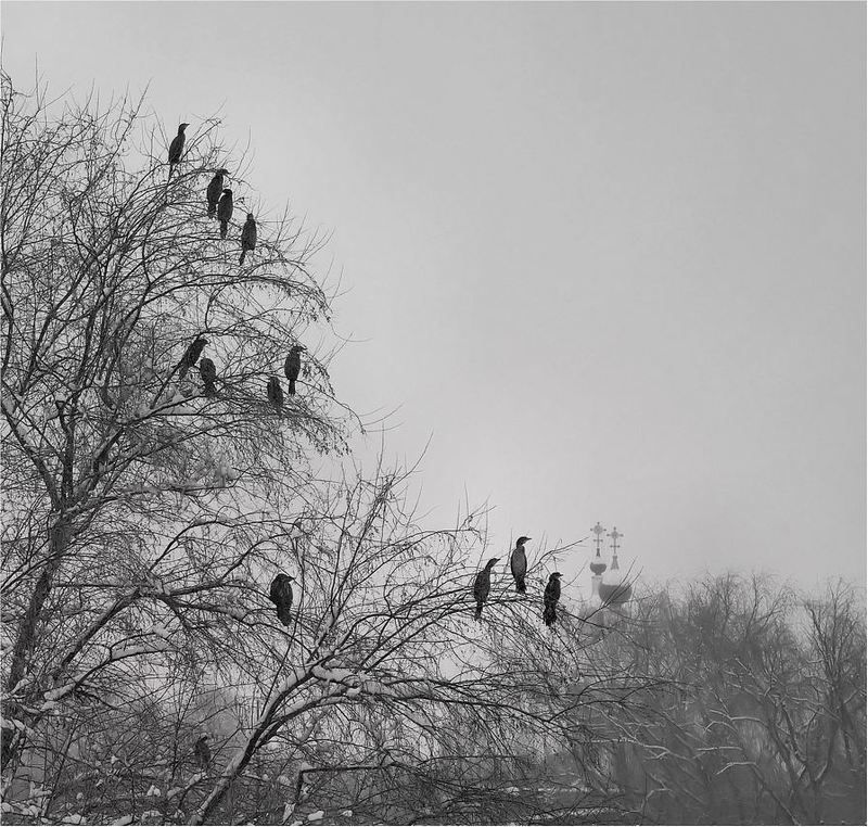 остальное *photo preview