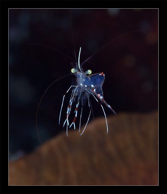 Космонавтphoto preview