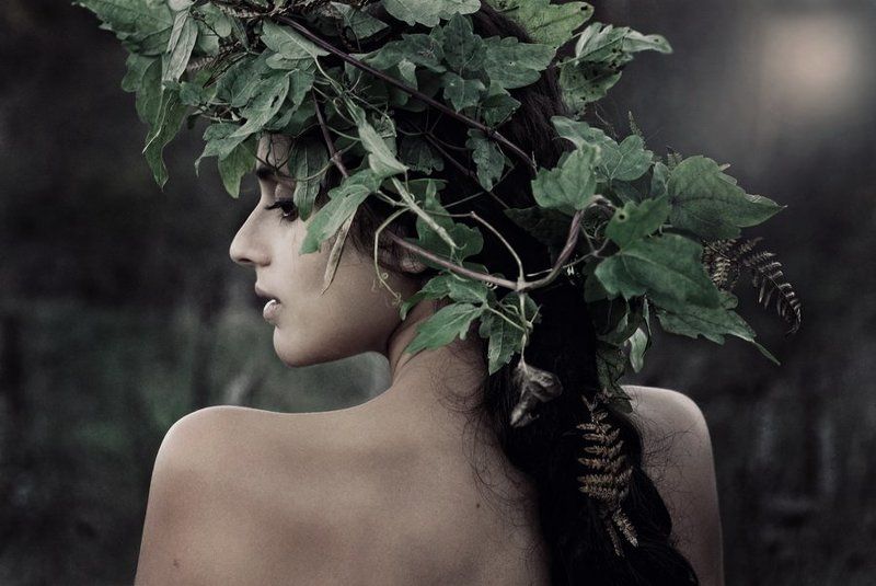 портрет, девушка, венок, осень, утро, вечер, плечи, спина, коса evening winephoto preview