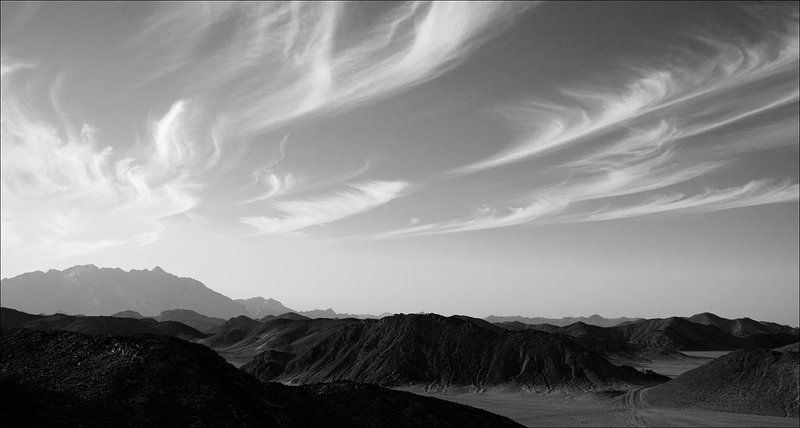 египет, хургада Там, где не растут деревьяphoto preview