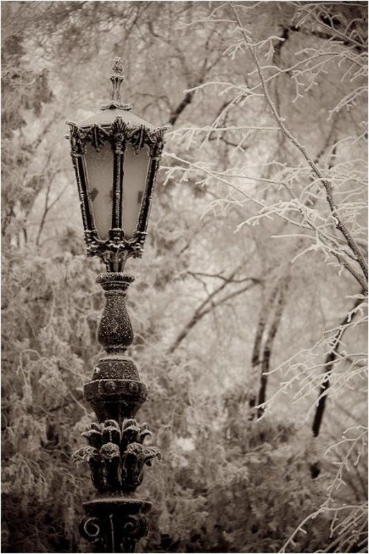 одесса,соборка ,фонарь, изморозь Изморозьphoto preview