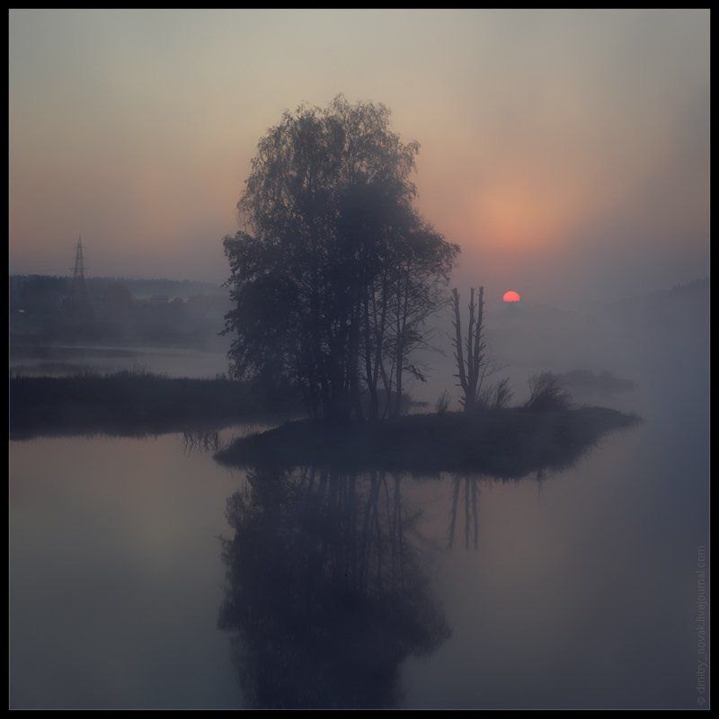 Ежик в туманеphoto preview