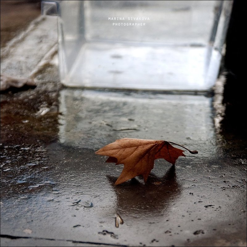 Трепетно и нервноphoto preview