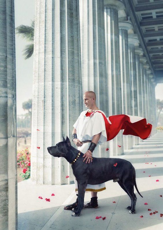 «В белом плаще с кровавым подбоем…»photo preview