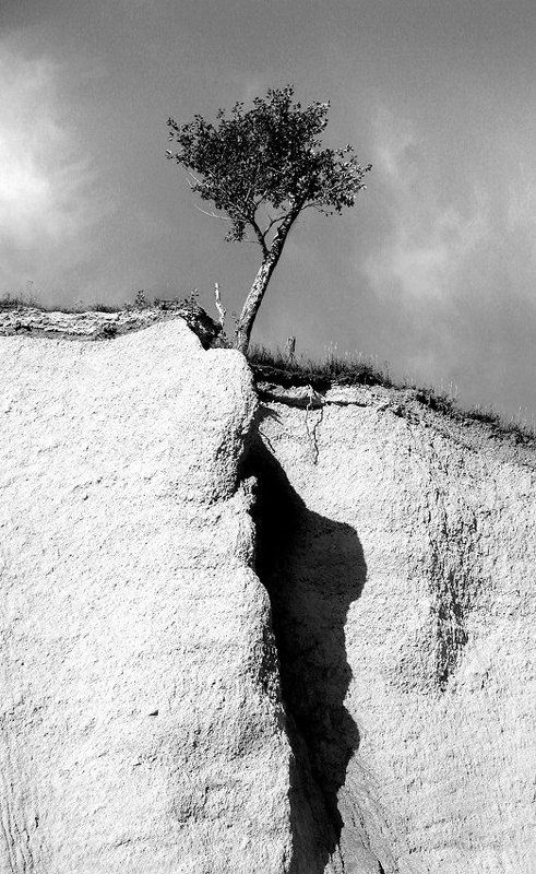 одинокоеphoto preview