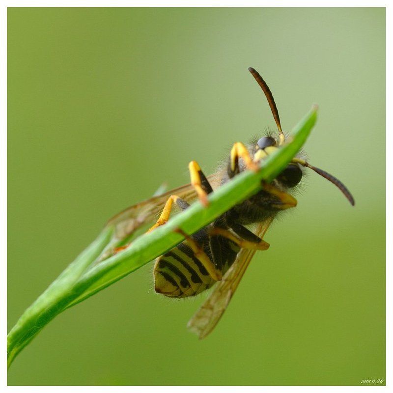 Обязательные десятьphoto preview