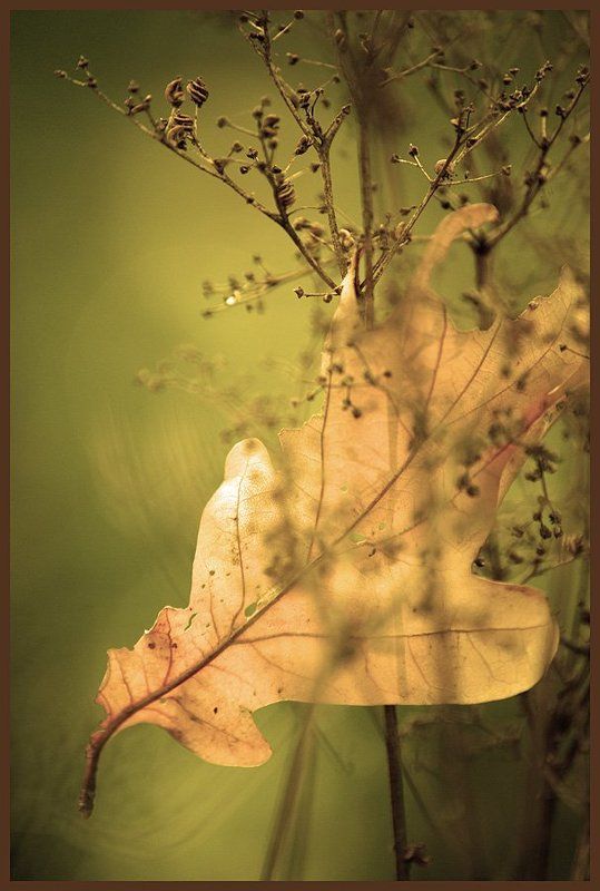 Равновесиеphoto preview