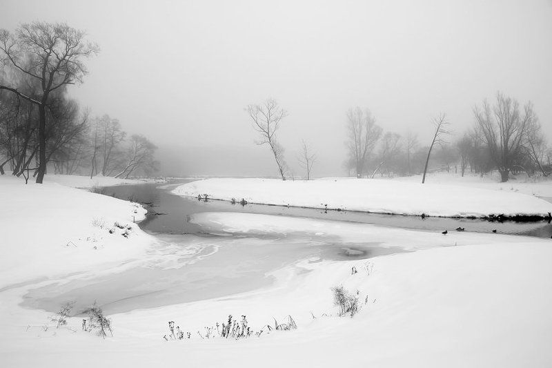 лошица, парк, минск, зима, река, снег Чёрным по беломуphoto preview
