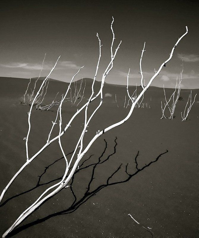 ушедшая жизньphoto preview