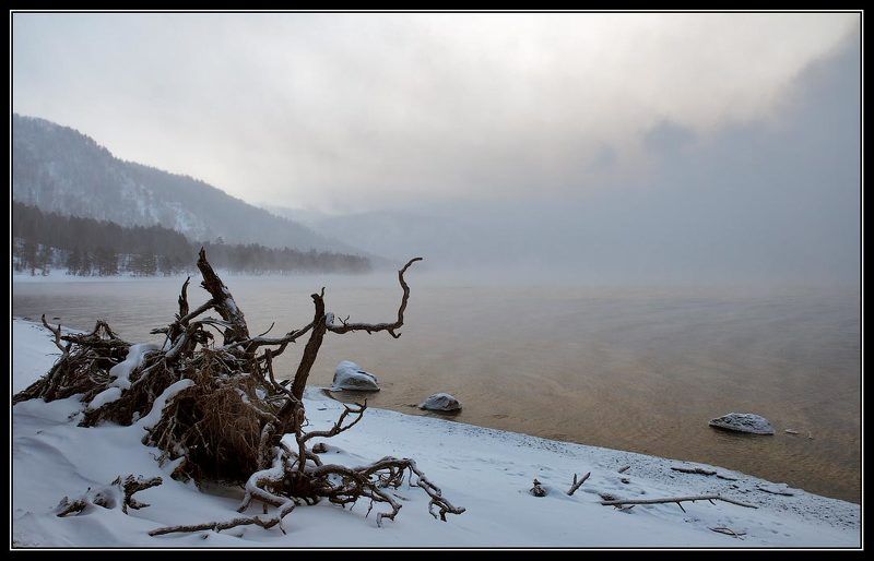 алтай, телецкое, озеро Предрассветная.photo preview