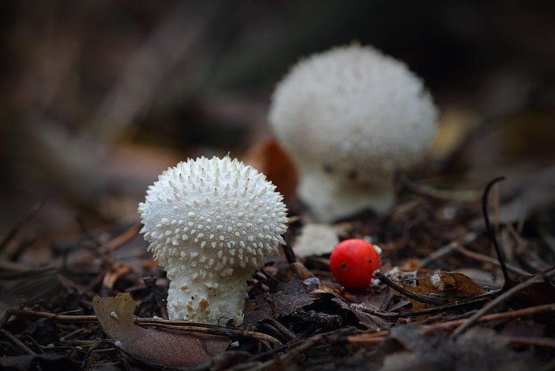 Бильярдphoto preview