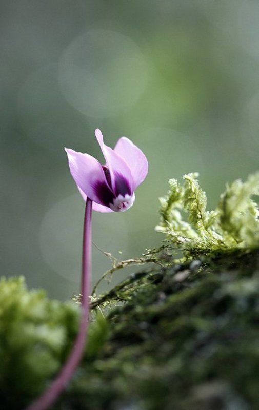 4 января в Хостеphoto preview