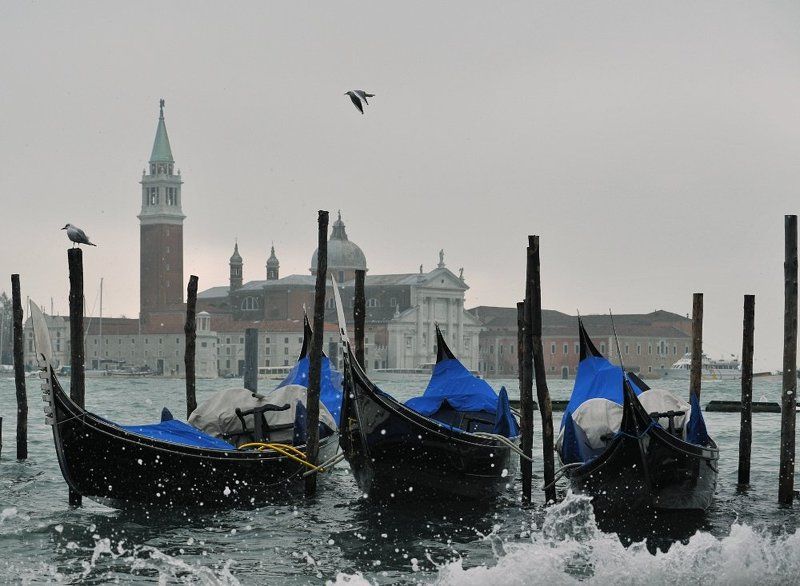 зимняя, венеция День, вечер, ночь, утроphoto preview