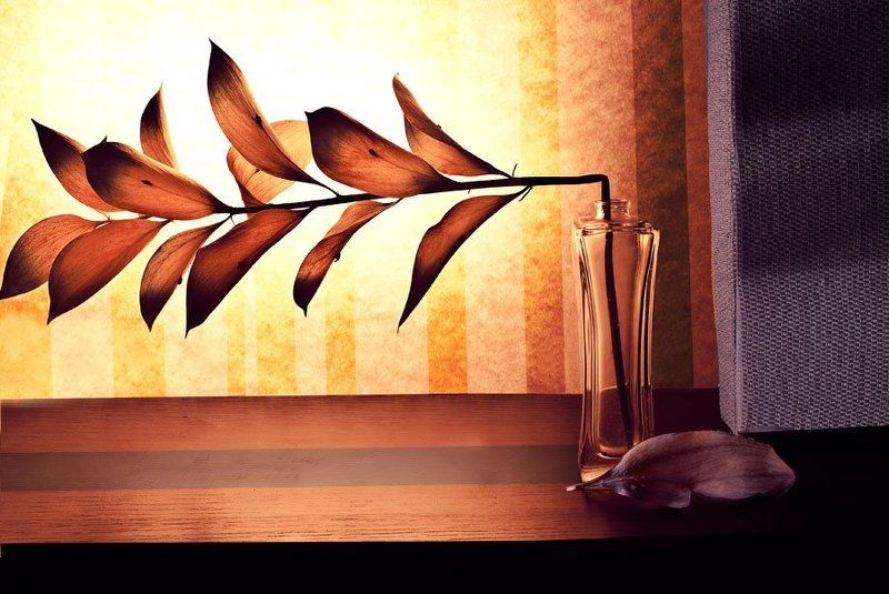 натюрморт когда линии згибаются - начинается новая историяphoto preview