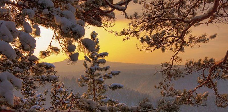 canon 40d, ef-s 17-85 mm f 4-5.6 is usm *** фото превью