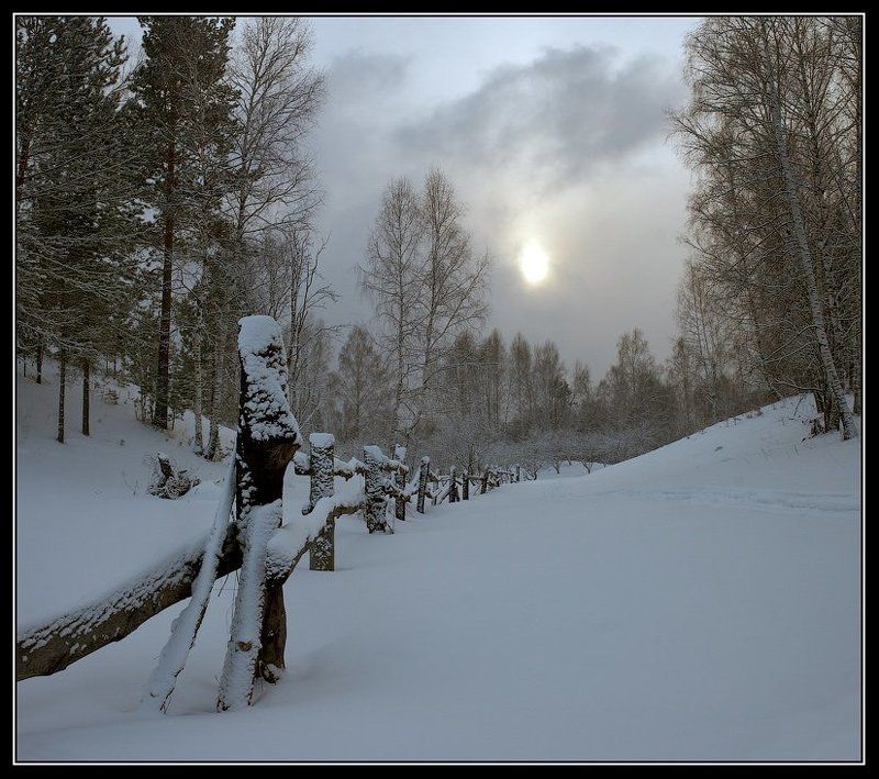 алтай, заповедник, яйлю, сады Был такой день.photo preview