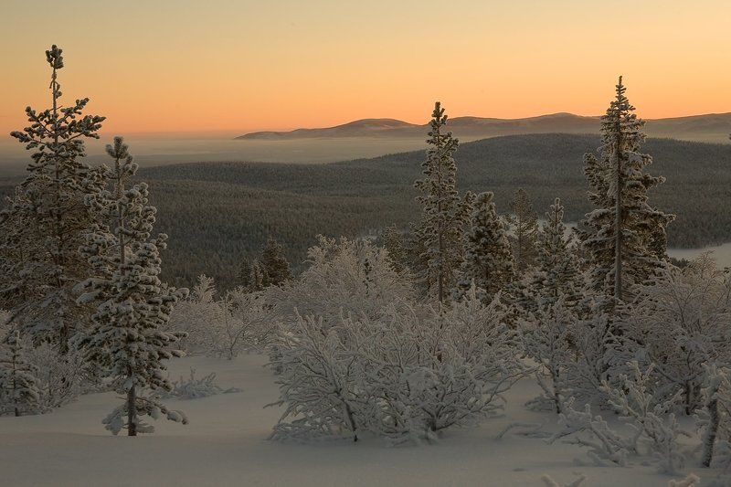 ёлки-тундры 2011, поход, на спуске с г.белая Дорогами севераphoto preview