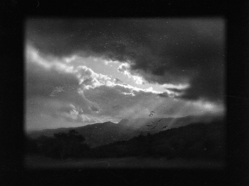 Untitlephoto preview