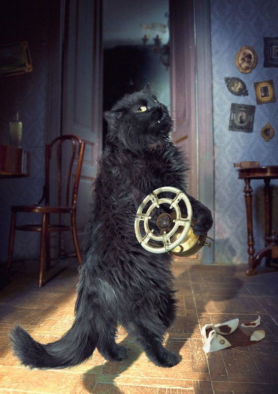 «Не шалю, никого не трогаю, починяю примус…»photo preview